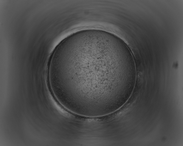 X0000091651523200708301408