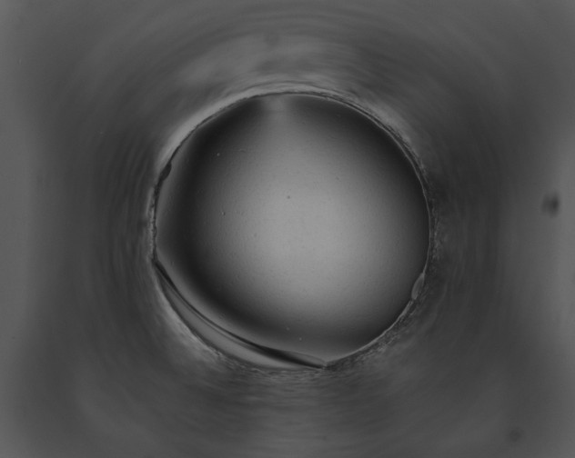X0000091651524200708301409
