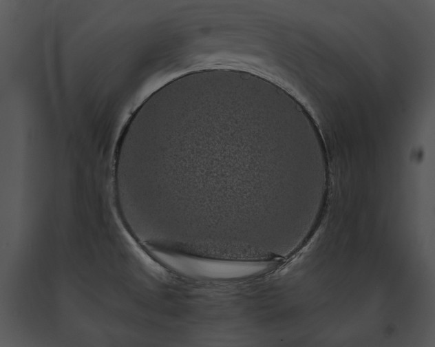 X0000091651525200708301409