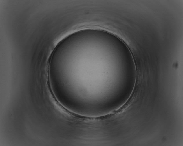 X0000091651526200708301409