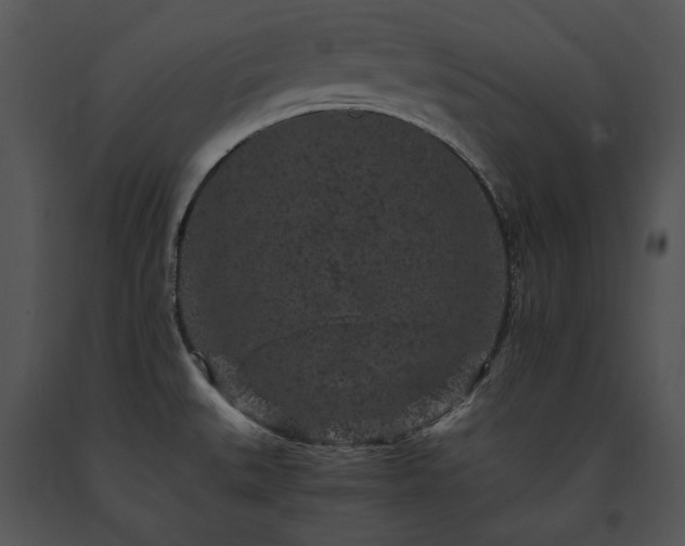 X0000091651527200708301409
