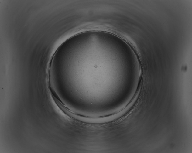 X0000091651528200708301409