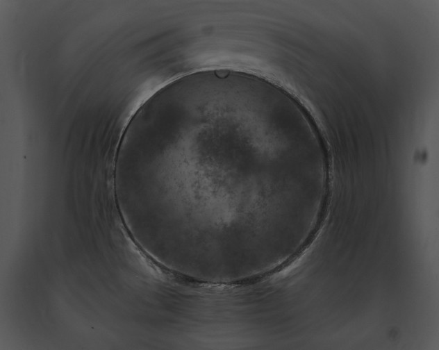X0000091651529200708301409