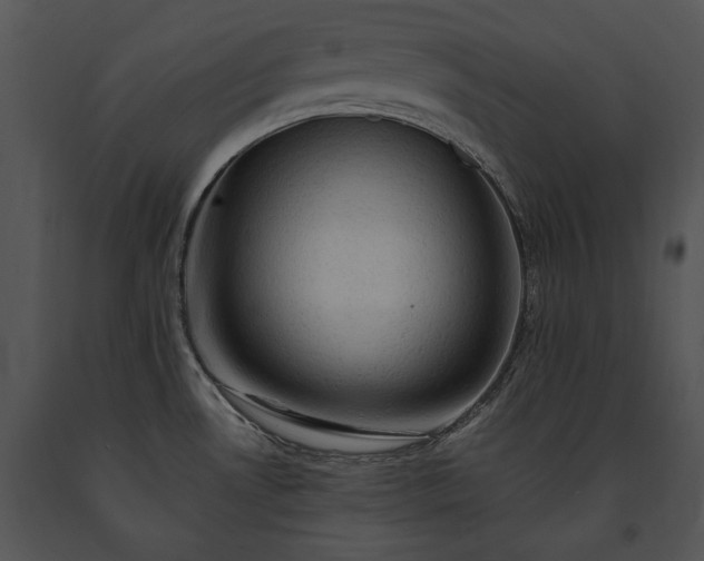 X0000091651530200708301409