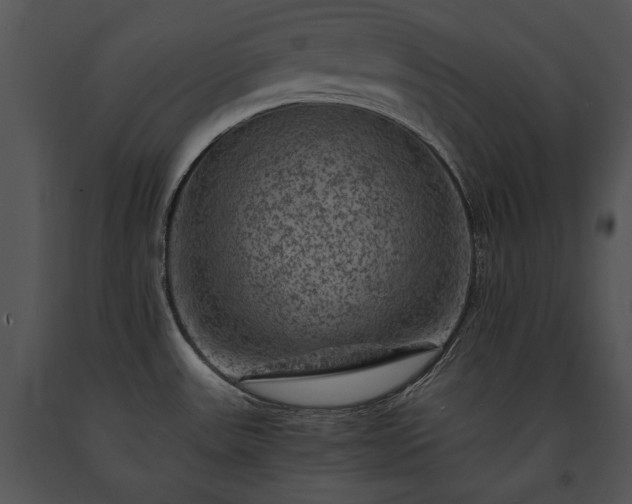 X0000091651531200708301409