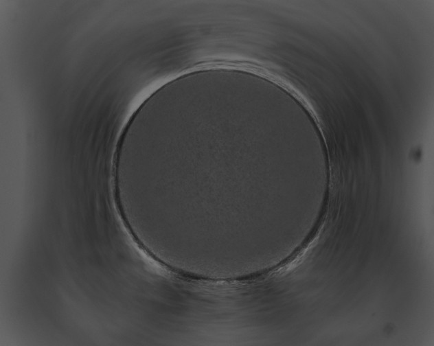 X0000091651533200708301409