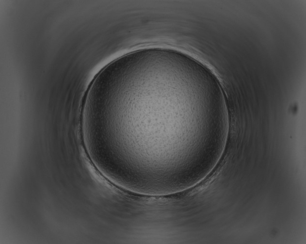 X0000091651534200708301409
