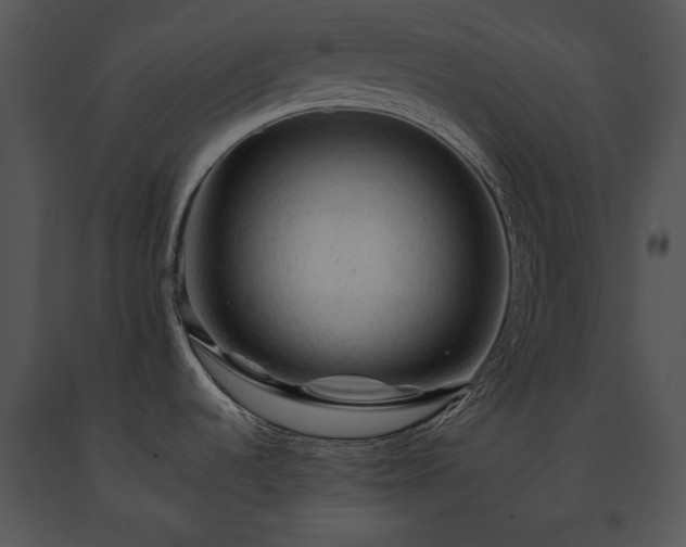 X0000091651536200708301409
