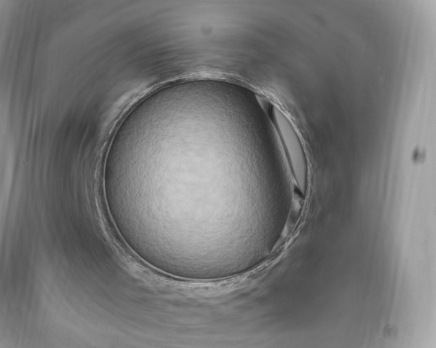 X0000091650001200709061009