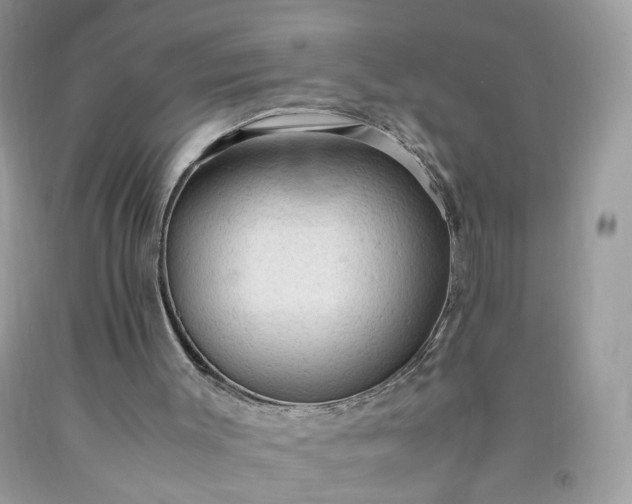 X0000091650003200709061009