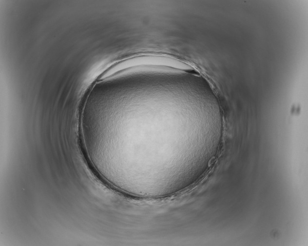 X0000091650005200709061009