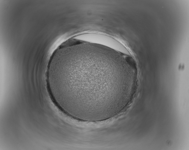 X0000091650007200709061009