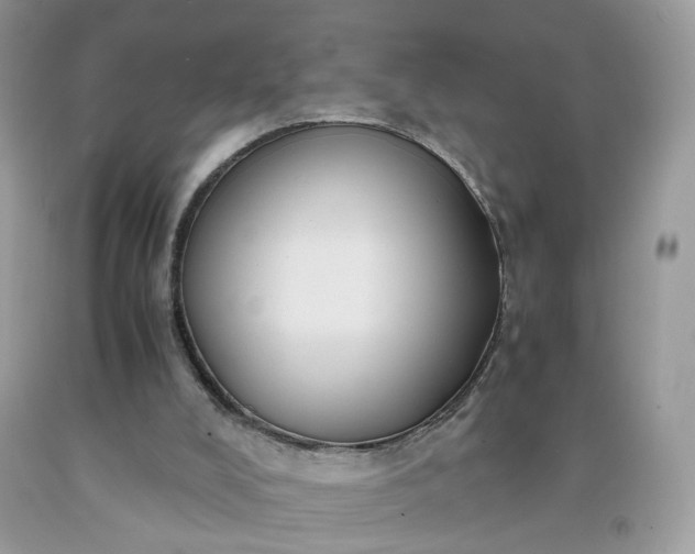 X0000091650008200709061009