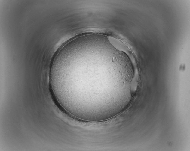 X0000091650011200709061009