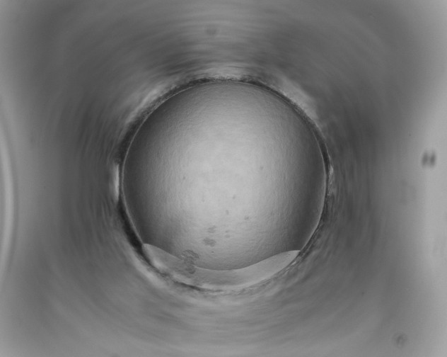 X0000091650013200709061009