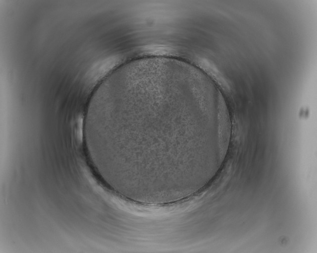 X0000091650014200709061009