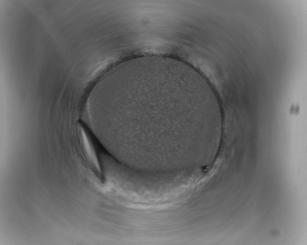 X0000091650017200709061008