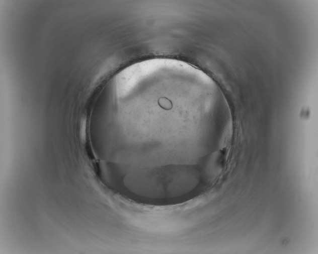 X0000091650019200709061008