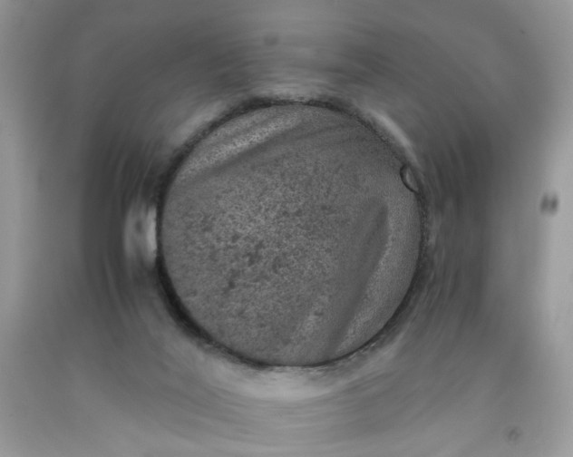 X0000091650020200709061008