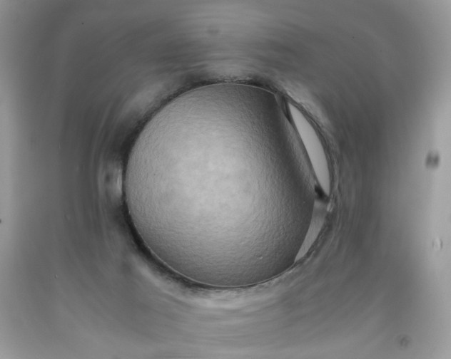 X0000091650021200709061008