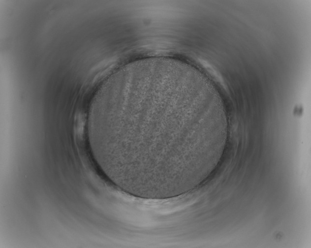 X0000091650026200709061008