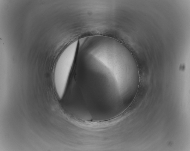 X0000091650027200709061008