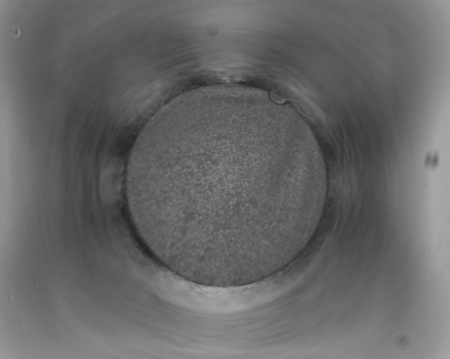 X0000091650030200709061008