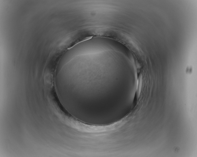 X0000091650031200709061008