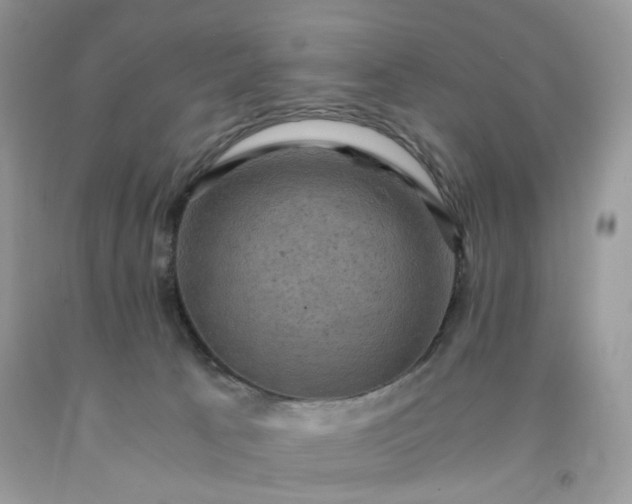 X0000091650033200709061008