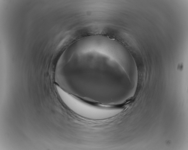 X0000091650035200709061008