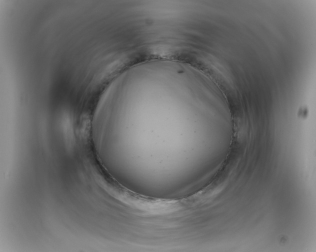 X0000091650036200709061008