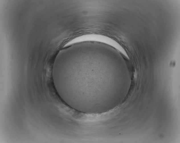 X0000091650037200709061008