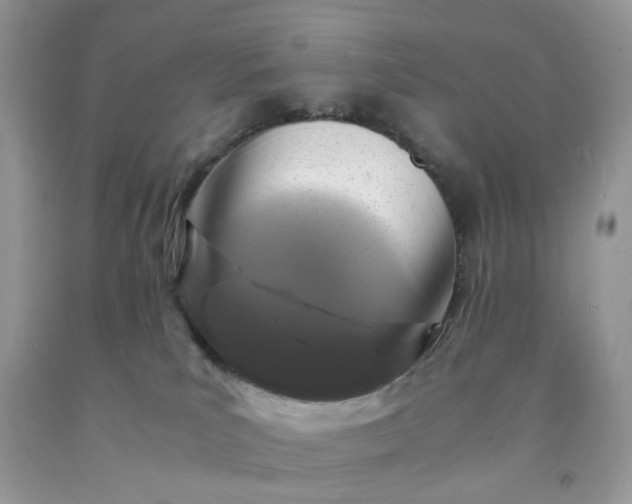 X0000091650039200709061008