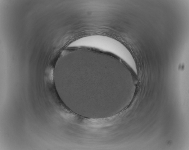 X0000091650041200709061008