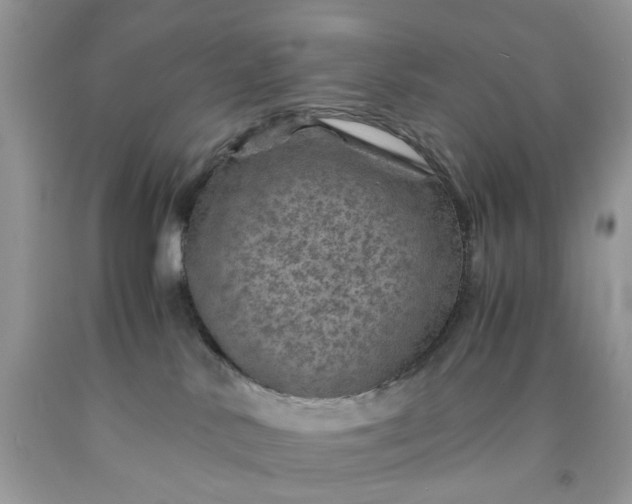 X0000091650042200709061008