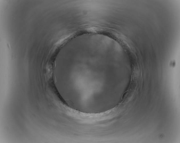 X0000091650043200709061008