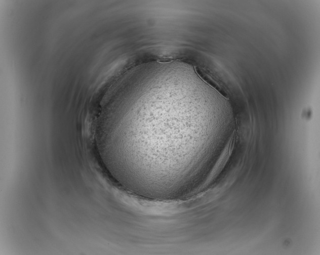 X0000091650044200709061008