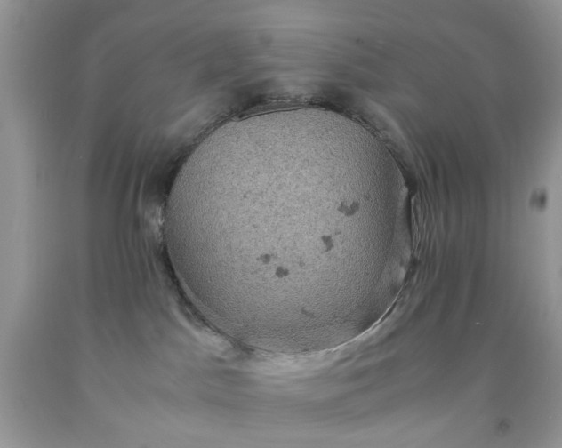 X0000091650045200709061008