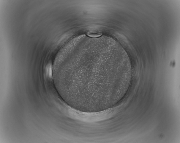 X0000091650046200709061008