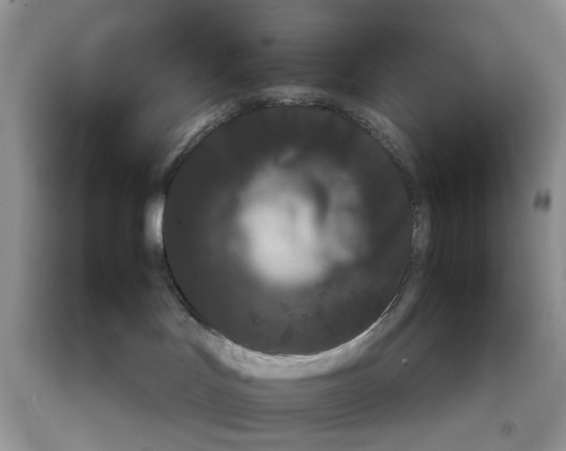 X0000091650047200709061008