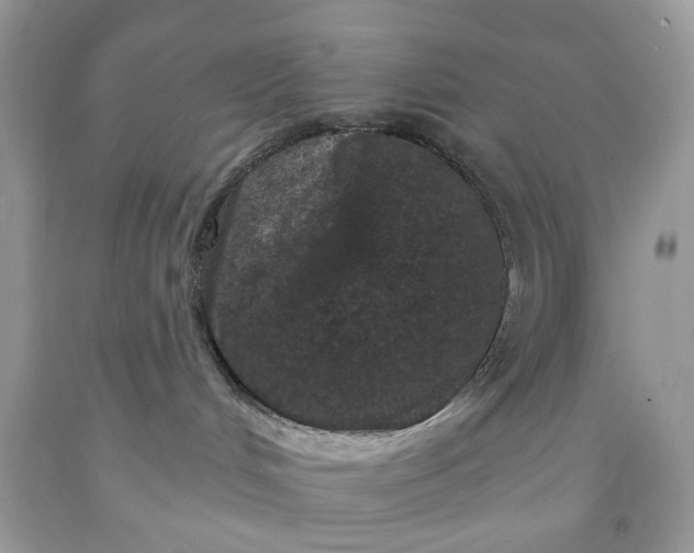 X0000091650048200709061008