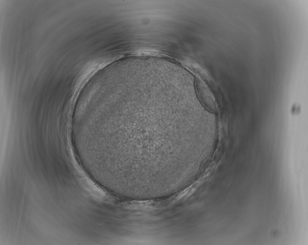 X0000091650049200709061007