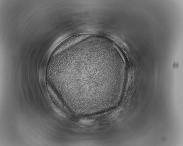 X0000091650051200709061008