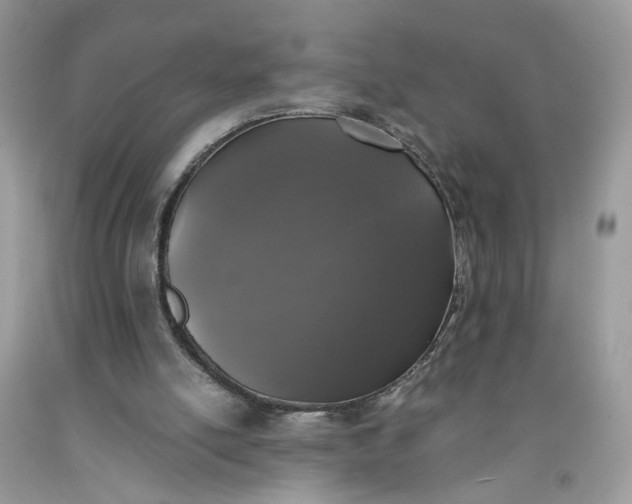 X0000091650054200709061008