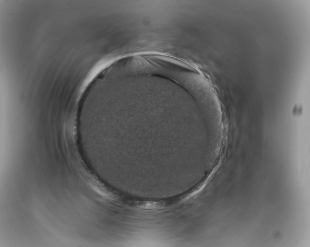 X0000091650056200709061008