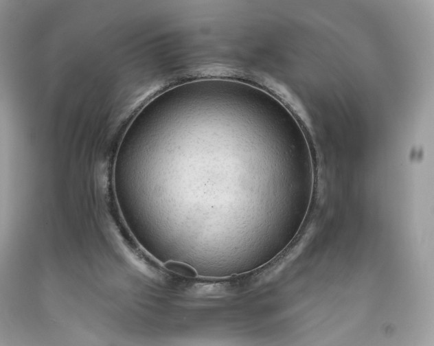 X0000091650057200709061008