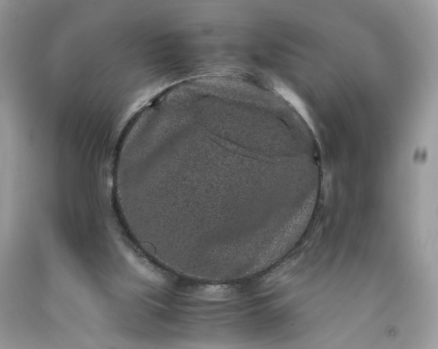 X0000091650059200709061008