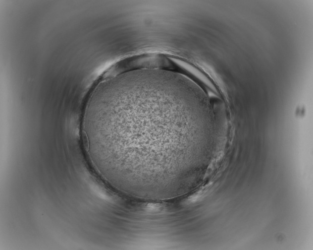 X0000091650060200709061008