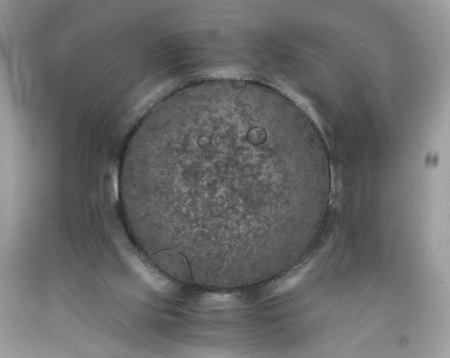 X0000091650061200709061008