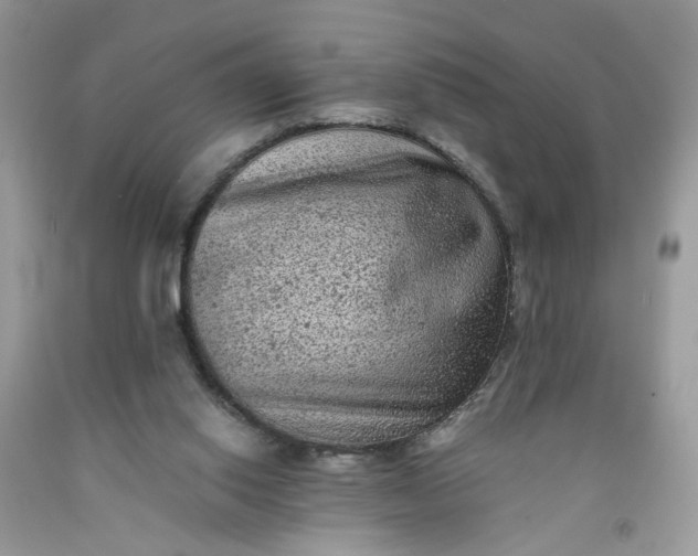 X0000091650062200709061008